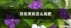 双色茉莉施肥时间 双色茉莉怎么施肥