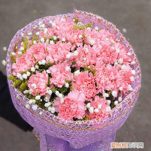康乃馨花束图片及制作方法如何养护康乃馨花束