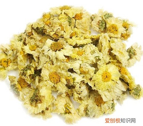 杭白菊的功效介绍 杭白菊和胎白菊哪个更有效