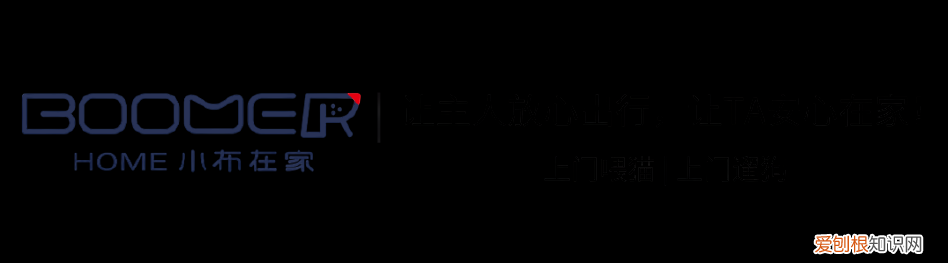 狗狗常见的几种病症，【宠物知识科普篇】新手养狗经常见9大疾病，及时了解，及时预防~