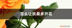 怎么让扶桑多开花,花期如何养护好 怎么让扶桑多开花，花期如何养护