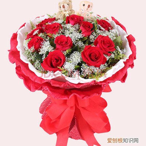 9朵玫瑰花语是什么 玫瑰花还有哪些作用