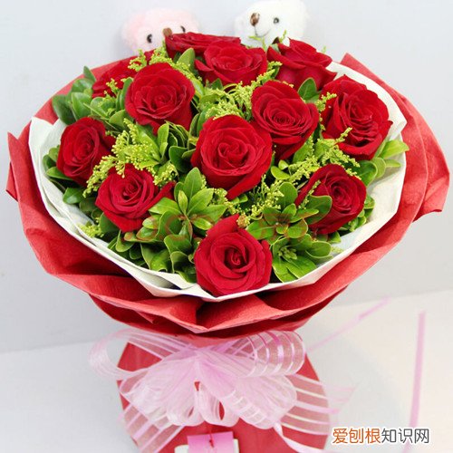 9朵玫瑰花语是什么 玫瑰花还有哪些作用