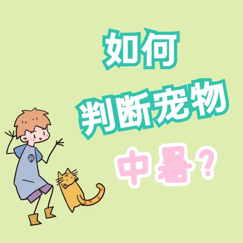 夏至吃狗肉还是冬至吃狗肉，【宠物知识科普篇】夏至即将到来，宠物如何安全避免中暑，这份避暑功课请牢记！