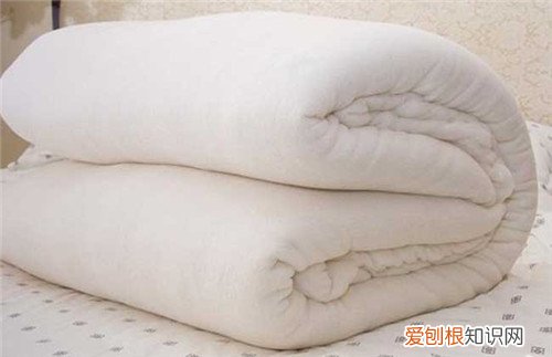 棉花被百科知识 关于棉花被的这些误区你中了吗