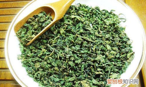 桑叶茶的功效桑叶茶的冲泡方法