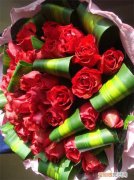 12朵玫瑰花语是什么情人节送多少朵玫瑰为佳