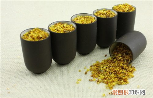 桂花干的制作方法和功效 哪些人不宜食用桂花