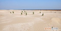 【生活百科】河沙和海沙的区别，河沙和海沙有什么不同