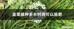 韭菜割后几天浇水几天施肥 韭菜栽种多长时间可以施肥，韭菜栽种后多久适合剪第一次