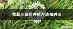 韭菜老根何时移栽最为适宜 盆栽韭菜的种植方法和时间，是不是每年换一次土