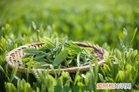 保温杯怎么去锈渍去异味 异味锈渍OUT小妙招轻松清洁