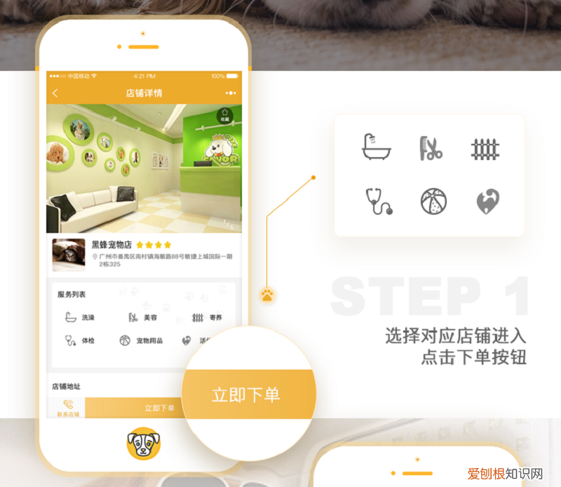 宠物app行业市场现状怎么样，宠物服务APP的开发前景及功能版块浅析