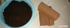 椰砖好用还是营养土 椰砖土是什么东西，透气性好吗