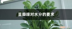 豆瓣绿适合水养吗 豆瓣绿对水分的要求