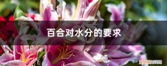 百合多水还是少水 百合对水分的要求