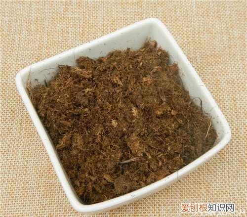 什么是草炭土草炭土制作过程