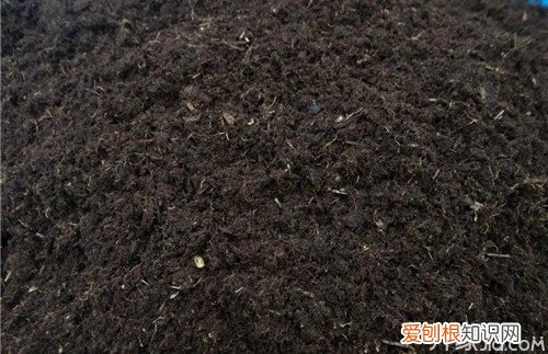 什么是草炭土草炭土制作过程