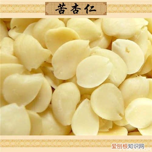 苦杏仁怎么去苦味 医生提醒:苦味果仁不要生吃