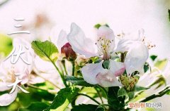 2023年三伏天是哪一天