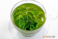 小叶苦丁茶价格 小叶苦丁茶和大叶苦丁茶的区别