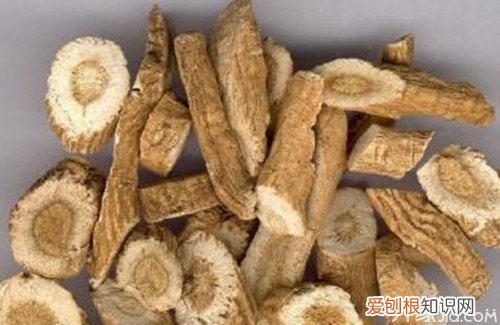 板蓝根的功效与作用看完你就全知道啦！