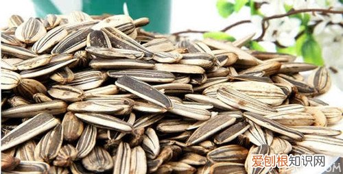 葵瓜子的功效与作用吃葵瓜子的副作用