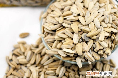 葵瓜子的功效与作用吃葵瓜子的副作用