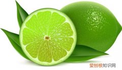 青柠檬的功效青柠檬和黄柠檬的区别
