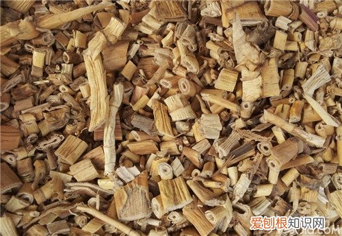 芦根知识介绍芦根的副作用，注意！