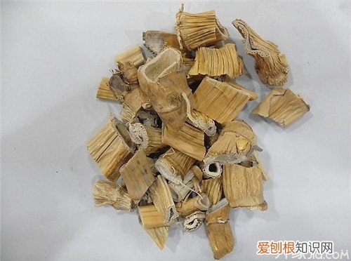 芦根知识介绍芦根的副作用，注意！