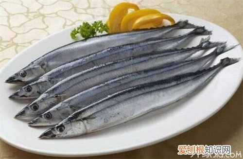 长江刀鱼的营养价值 吃对鱼可以消百病哦