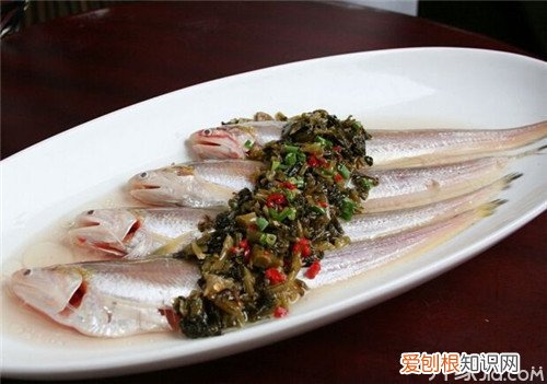 长江刀鱼的营养价值 吃对鱼可以消百病哦