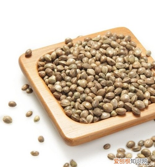 火麻仁怎么吃便秘患者的福音来了