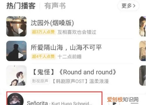 网易云音乐怎么投屏，网易云音乐怎么投到电视