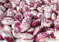 肾豆种植方法肾豆的功效及食用方法