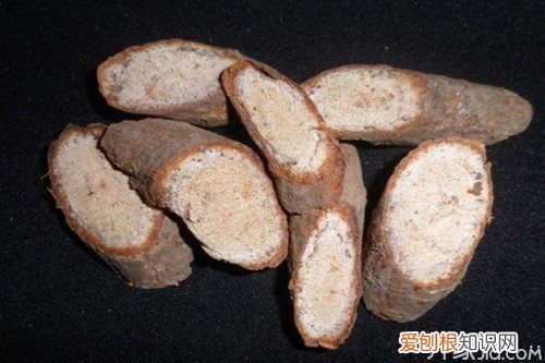 国家认可健康中药 藤梨根的功效与作用