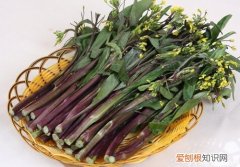 红菜苔的营养价值 红菜苔怎么吃
