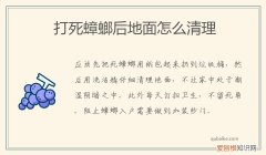 地上有蟑螂怎么去除 打死蟑螂后地面怎么清理