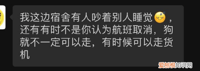 金毛siri事件网友评论 金毛Siri之死引发全网铲屎官愤怒：宠物的生命需要尊重！