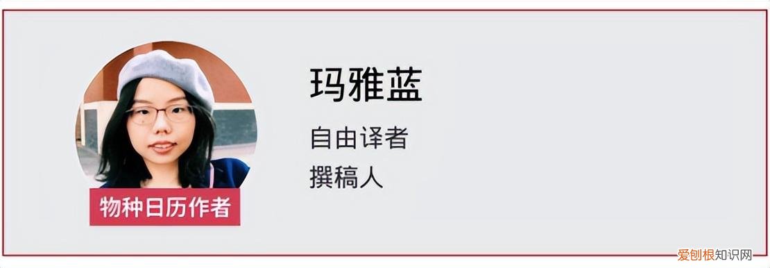 新冠确诊病人家里的宠物会传染吗，铲屎官感染了新冠，家里宠物怎么办？首先，不必给它们戴口罩