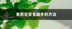 茉莉花在冬天会不会冻死 茉莉花安全越冬的方法，茉莉花会被冻死吗