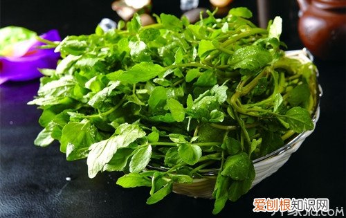 西洋菜的功效与作用西洋菜孕妇能吃吗