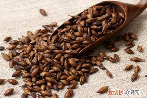 生麦芽和炒麦芽的区别与药理作用，生麦芽和炒麦芽的区别与药理作用是什么