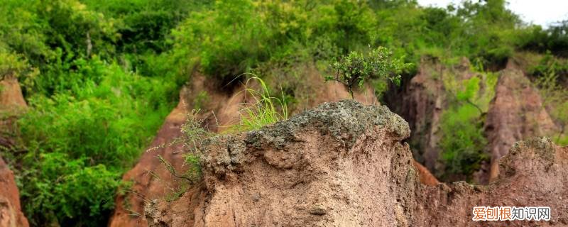 巫山长什么样 巫山的土壤是紫色的吗