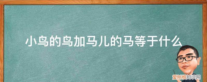 小鸟的鸟加马儿的马等于什么 小鸟的鸟加马儿的马等于什么