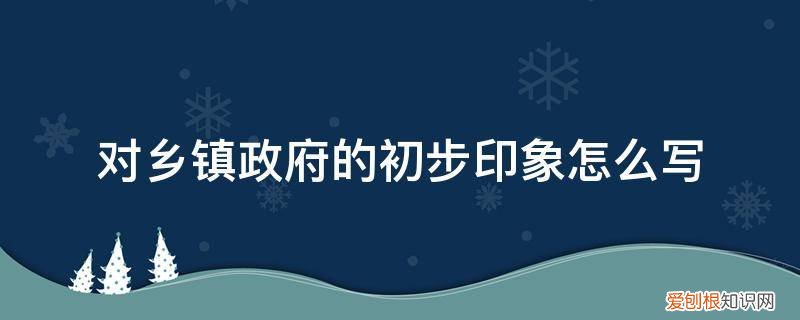 写给镇政府的报告 对乡镇政府的初步印象怎么写