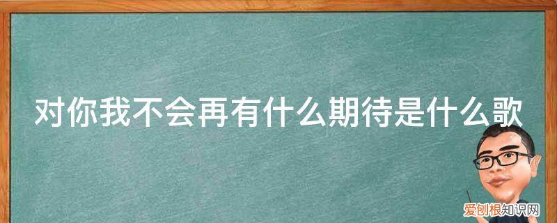 不再对谁期待是什么歌 对你我不会再有什么期待是什么歌