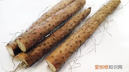 养生知识之小孩健脾胃的食物有哪些，孩子健脾胃的食物有哪些