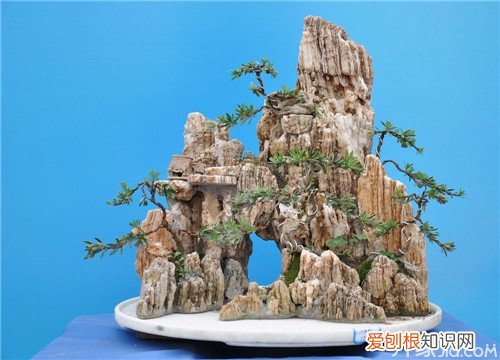 山水盆景制作方法 山水盆景制作技艺必看